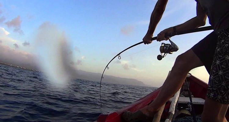 vertical jigging boavista capoverde