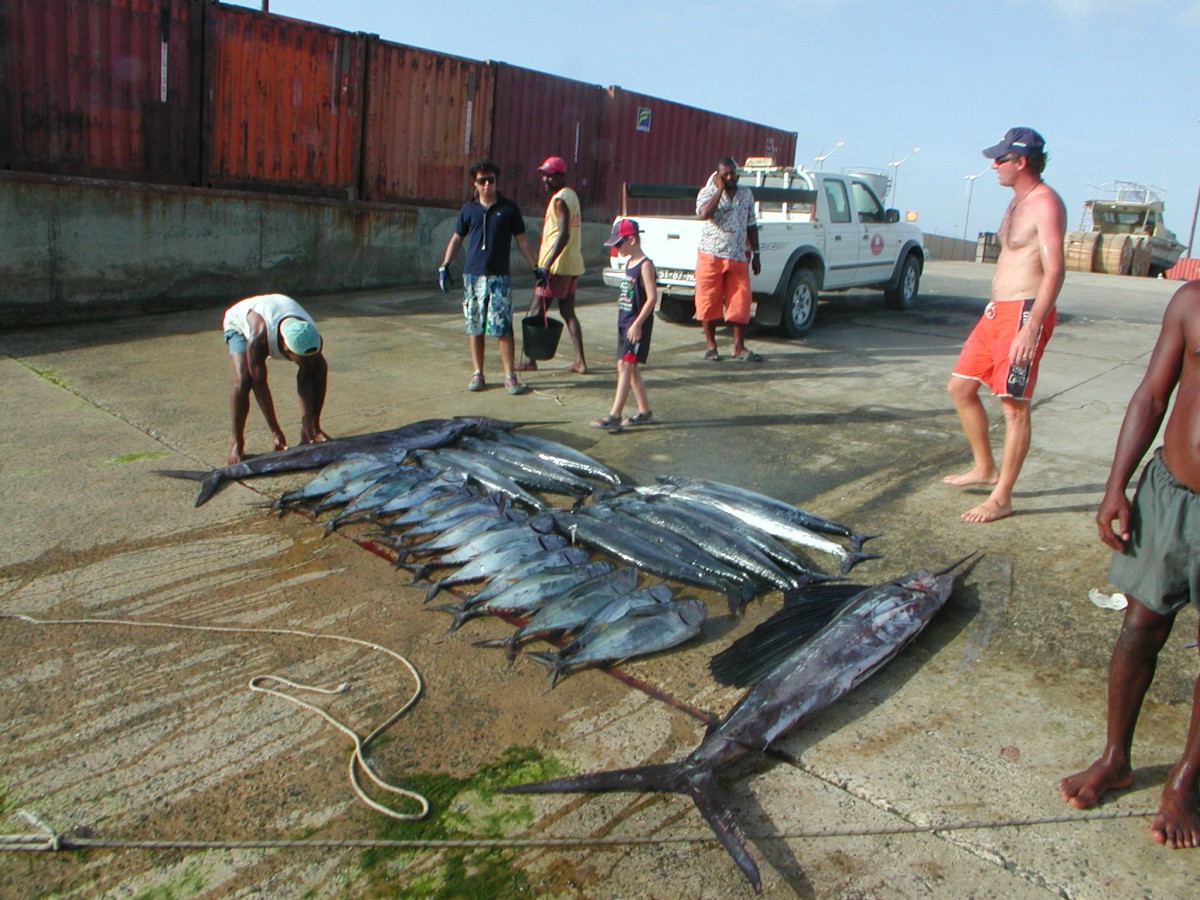 Capoverde battuta pesca