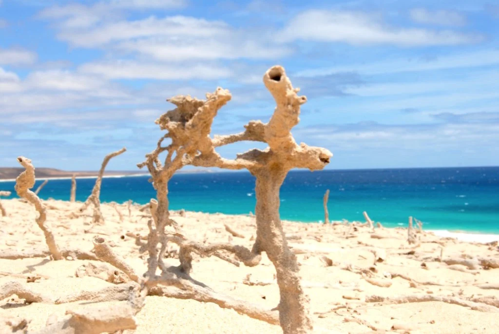 La costa di Curral Velho nel sud-est di Boa Vista