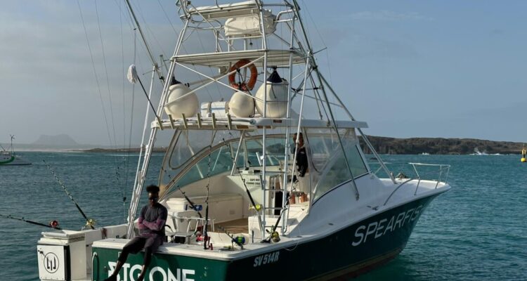 Pesca Capo Verde dicembre