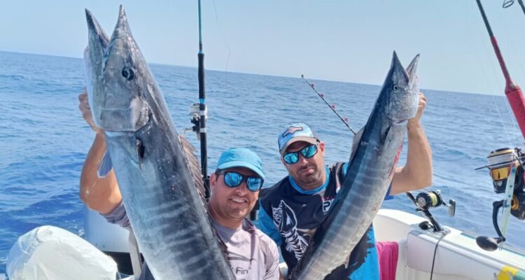 pesca Capo Verde Novembre