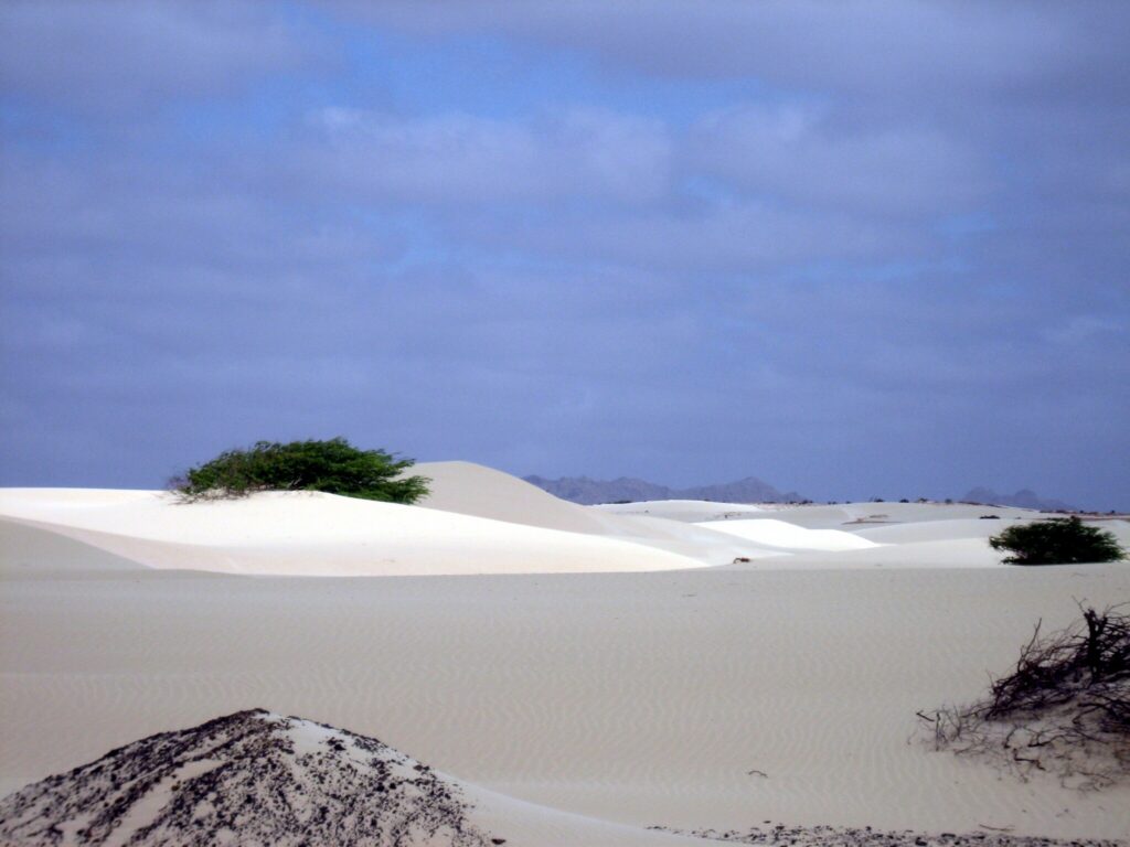 Il deserto di sabbia di Viana circondato dal deserto di pietre