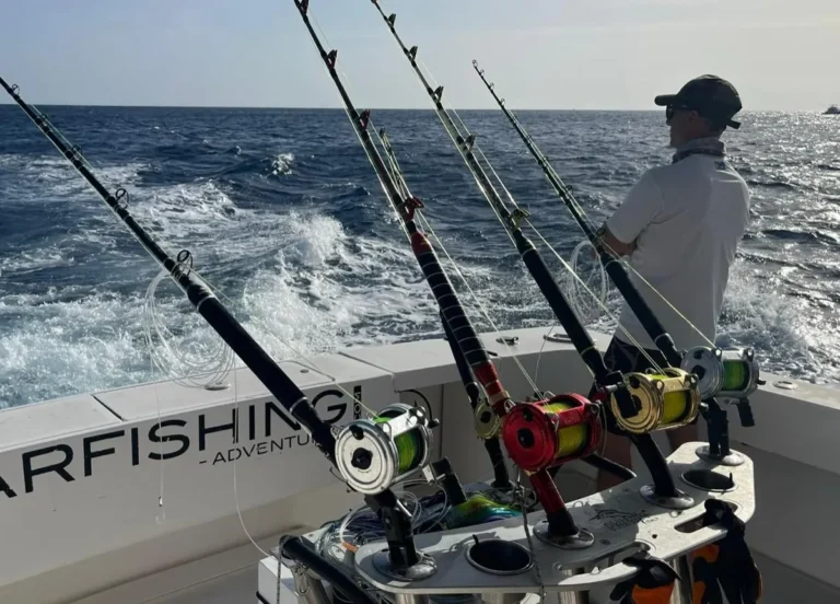 Canne da traina in posizione a poppa con la scia della barca