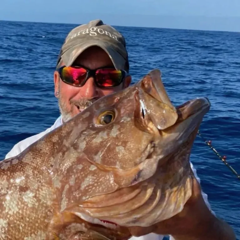 Primo piano di un pescatore con una grande cernia