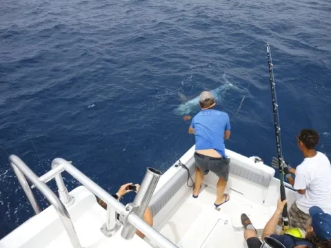 Pescatori a poppa durante il combattimento con un pesce