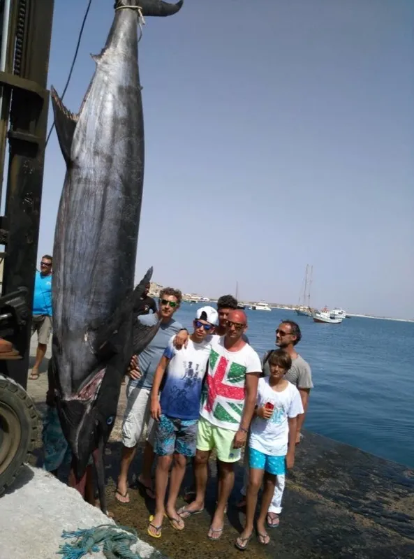 Gruppo di pescatori al porto accanto a un grande marlin blu appeso