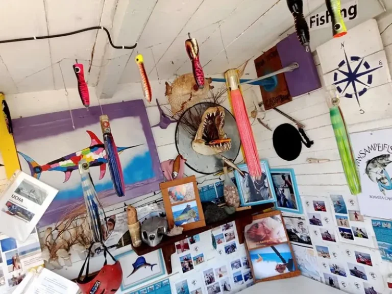 Interno del negozio di pesca a Sal Rei con esche e foto di catture