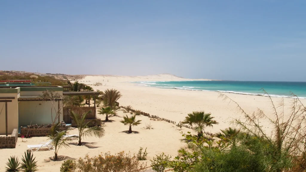 Spiaggia di sabbia bianca con le palme a Boa Vista